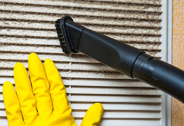 Best HVAC System Cleaning  in Rome City, IN